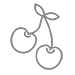 iconocereza